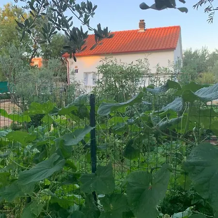 Family House Feniks Dom wakacyjny Milna (Brac)