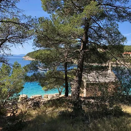 Holiday home Family House Feniks Milna (Brac)
