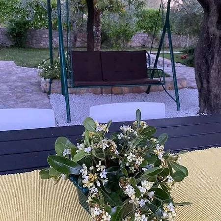 Family House Feniks